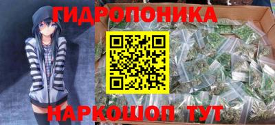 амф Гатчина