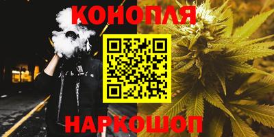 амф Гатчина