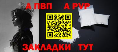 амф Гатчина